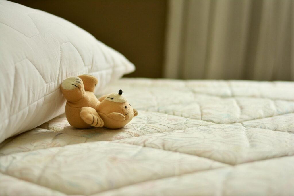 Clean bedroom mattress after bed bug treatment