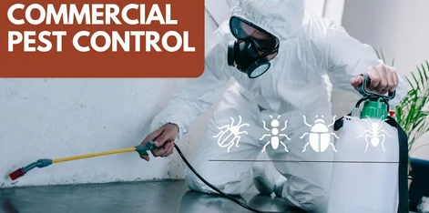 Commercial Pest Control in Illinois What Restaurants, Landlords and Property Managers Need