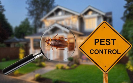 Full-Service Pest Control in Illinois