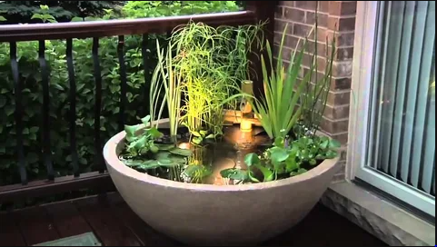 Standing water collecting in a plant saucer where mosquitoes breed