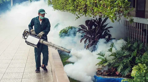 Technician treating backyard shrubs for mosquitoes