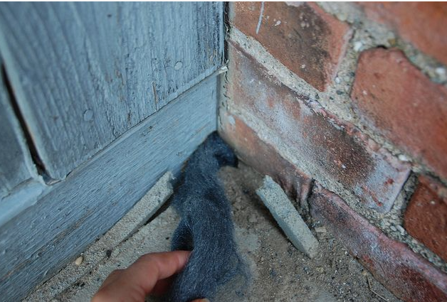 Sealing a wall gap to block rodent entry points