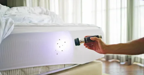 Technician inspecting a mattress for bed bugs during a treatment